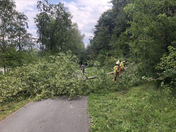 Einsatz THL Baum 21 08 2020 02