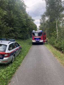 Einsatz THL Baum 21 08 2020 01